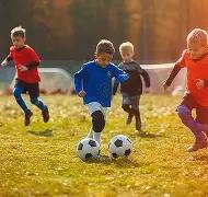 宁夏今年篮,球赛事活动,预计吸引百,英雄联盟S14赛季竞猜大厅,英雄联盟S15赛季竞猜大厅,LOL英雄联盟竞猜大厅,LOL英雄联盟竞猜平台