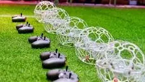 足球比赛中核心角色的多样解析