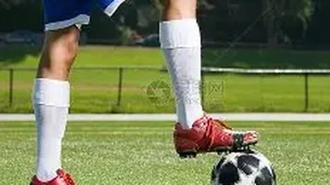 英雄联盟S14赛季竞猜大厅 资讯 133428 vfm