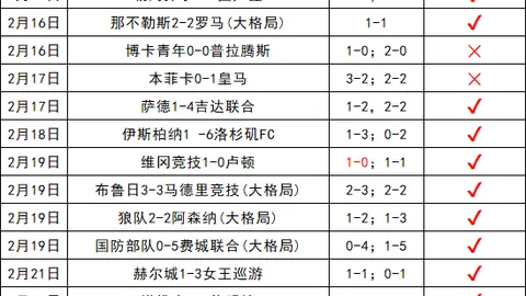 尼斯前锋瓦希办科特迪瓦护照备战世界杯